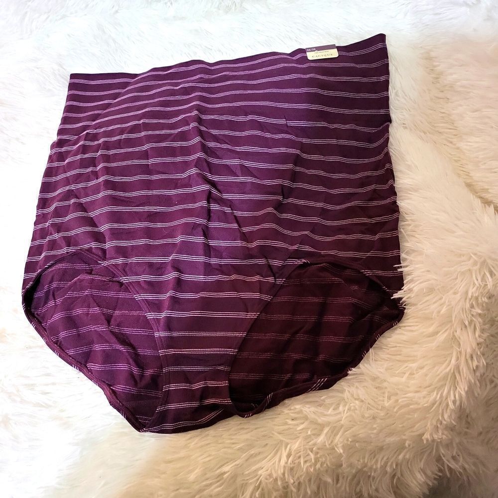 NWT lane bryant cacique high waist brief panty, so soft and stretchy!